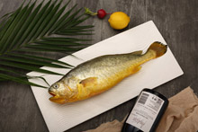 大黄鱼  Yellow Croaker