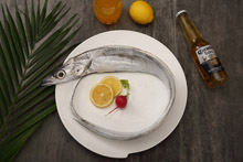 带鱼 Ribbon Fish