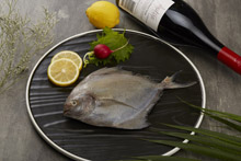 黑鲳 Black Pomfret