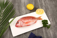 红鱼 Red Snapper
