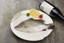 金目鲈 Sea Bass
