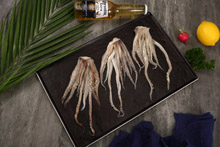 鱿鱼头  Squid Head