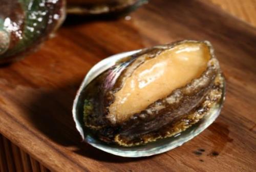 鲍 鱼  Abalone